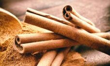 Nombre científico de la canela