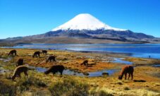 ¿Cuáles son los recursos naturales de Chile?