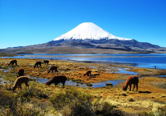 ¿Cuáles son los recursos naturales de Chile?