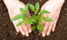 ¿Cómo conservar los recursos naturales?