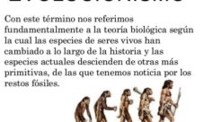 Idea central de la teoría de la evolución