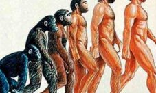 ¿Qué es el origen de la especie?