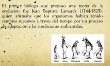 ¿Cuál es la teoría de la evolución de Lamarck?