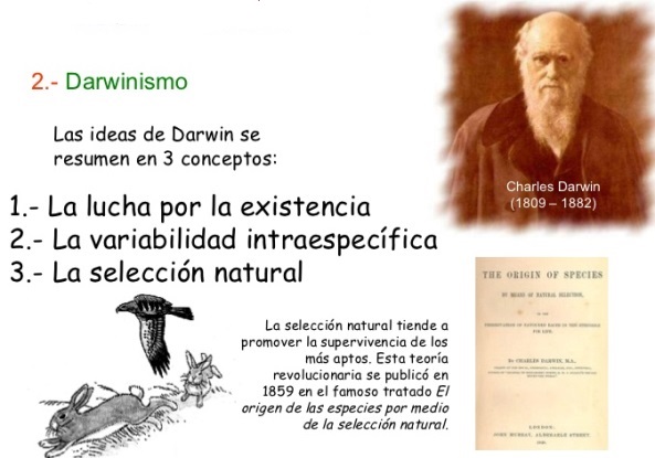 ¿Cuáles son las teorías evolutivas?