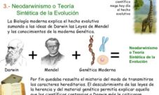 ¿Cuáles son las teorías evolutivas?
