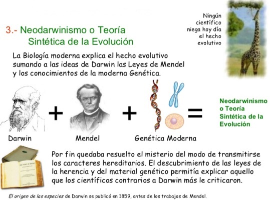 ¿Cuáles son las teorías evolutivas?