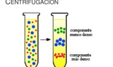 ¿Cómo actúa la fuerza centrífuga sobre un líquido?