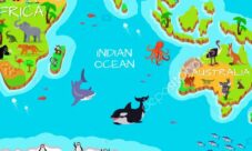 Flora y fauna del océano Indico