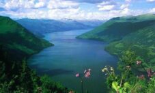 ¿En qué biomas hay una mayor diversidad de seres vivos?