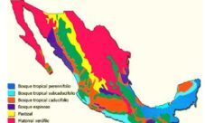 ¿Cuáles son los biomas que existen en México?