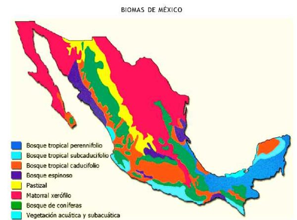 ¿Cuáles son los biomas que existen en México?