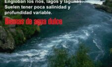 ¿Cuáles son los biomas de agua dulce?