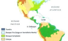 ¿Cuáles son los biomas de América?