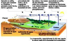 Ciclo del agua en los ecosistemas