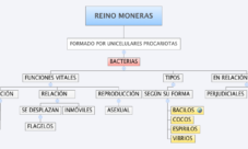 Clasificación del reino mónera