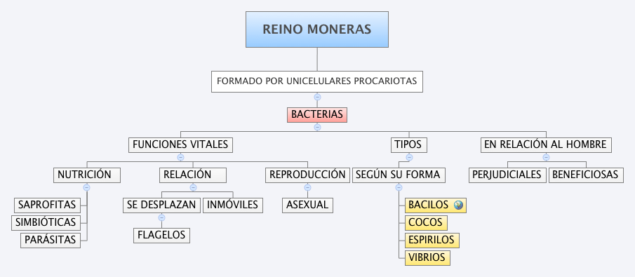 Clasificación del reino mónera