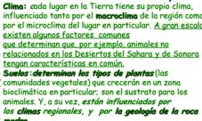 ¿Cómo funciona un bioma?