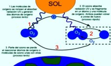 ¿Cómo se forma la capa de ozono?