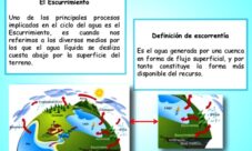 ¿Qué es el escurrimiento en el ciclo del agua?