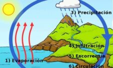 ¿Cuáles son las etapas del ciclo del agua?