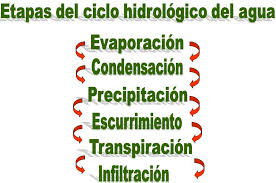 ¿Cuáles son las etapas del ciclo del agua?