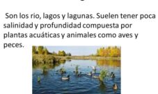 ¿Factores físicos de los biomas de agua dulce?