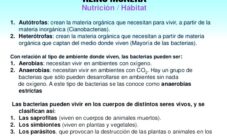 ¿Cuál es el habitat del reino mónera?