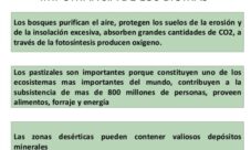 Importancia de los biomas para el ser humano