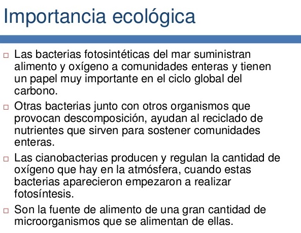 Importancia ecológica del reino mónera