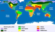 Principales biomas del mundo