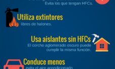 ¿Qué podemos hacer para proteger la capa de ozono?