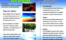 ¿Qué es un bioma? (resumen corto)