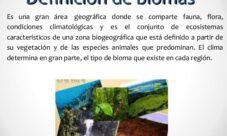 ¿Qué son los biomas?