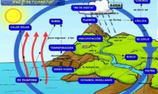 ¿Qué sucede durante el ciclo hidrológico?