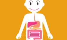 Digestión de proteínas